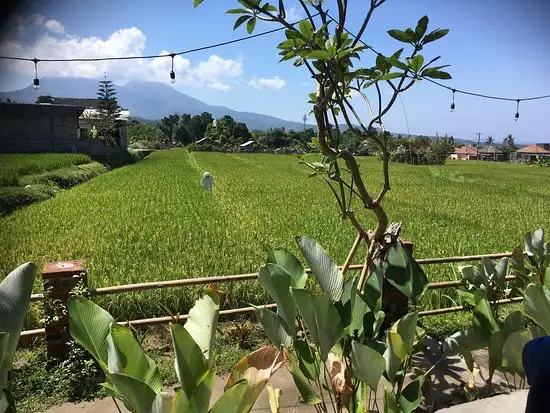 Gambar Makanan Warung Dunki 13