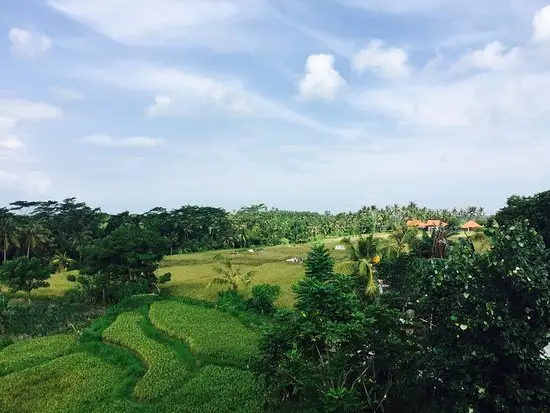 Gambar Makanan Rapuan Cili 11