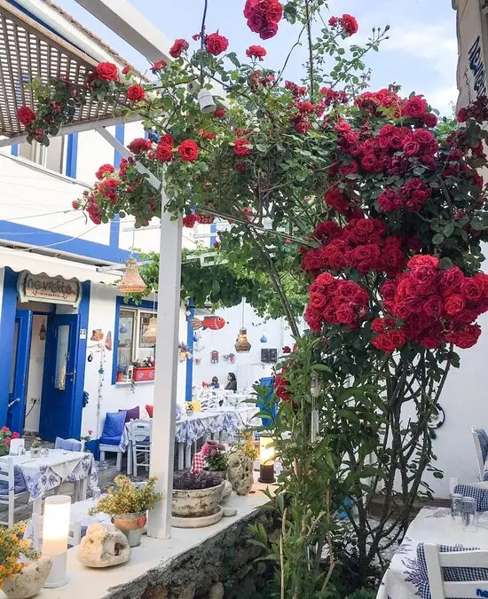 Nevreste Bozcaada'nin yemek ve ambiyans fotoğrafları 32