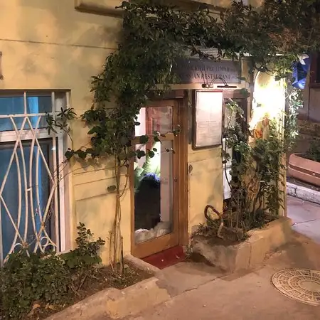 Ayaspaşa Russian Restaurant'nin yemek ve ambiyans fotoğrafları 8