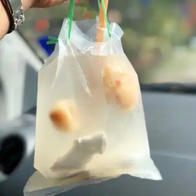 Gerai Kelapa Lemon Laici Sg Keroh