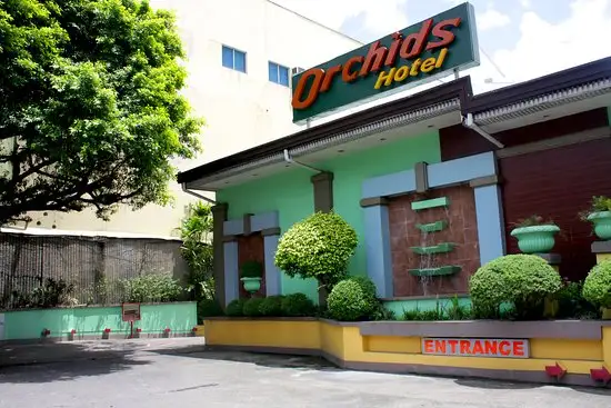 Orchid's Drive Inn