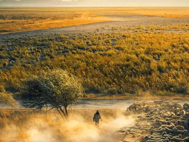 NAMLI KASAP'nin yemek ve ambiyans fotoğrafları 6