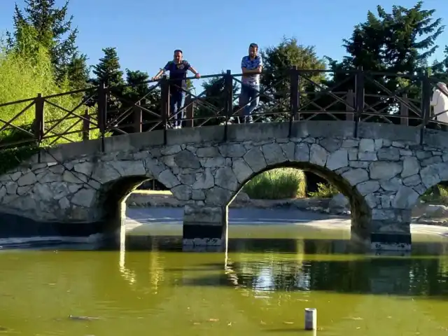 Beykoz konaklari konak cafe&restaurant'nin yemek ve ambiyans fotoğrafları 2