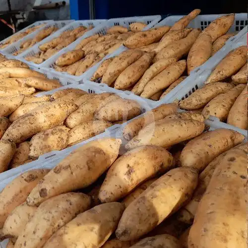 Gambar Makanan Ubi Cilembu Bakar, Denpasar 1