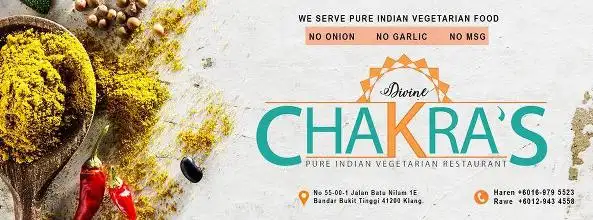 Divine Chakras Pure Indian Vegetarian Restaurant Food Photo 1