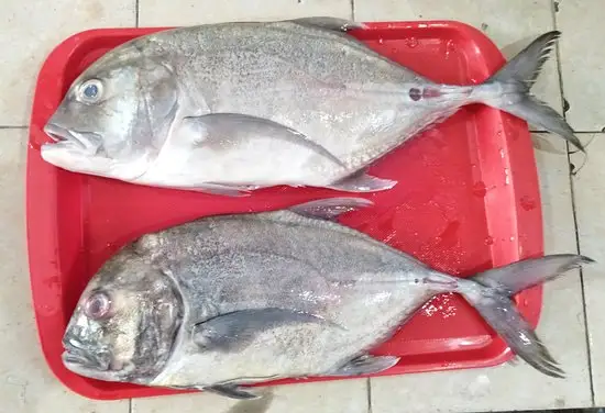 Gambar Makanan WIB_Waroeng Ikan Bakar Suroboyo 11