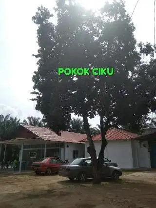 Kedai Makan Pokok Ciku Food Photo 3