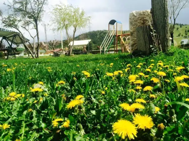 Gökkuşağı Aile Dinlenme Tesisleri'nin yemek ve ambiyans fotoğrafları 2