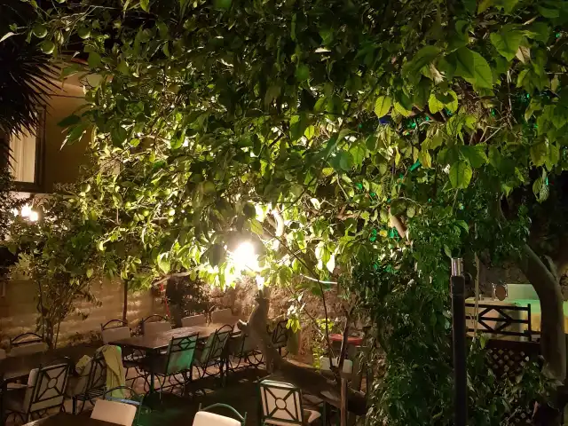 Ora Kebap Secret Garden'nin yemek ve ambiyans fotoğrafları 20