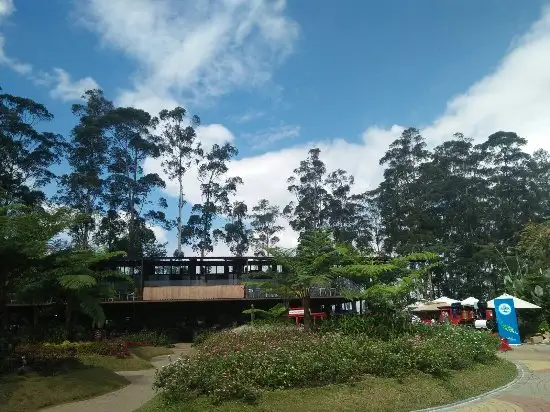 Gambar Makanan Dusun Bambu 4