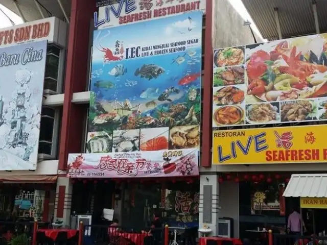 Live Seafresh Restaurant