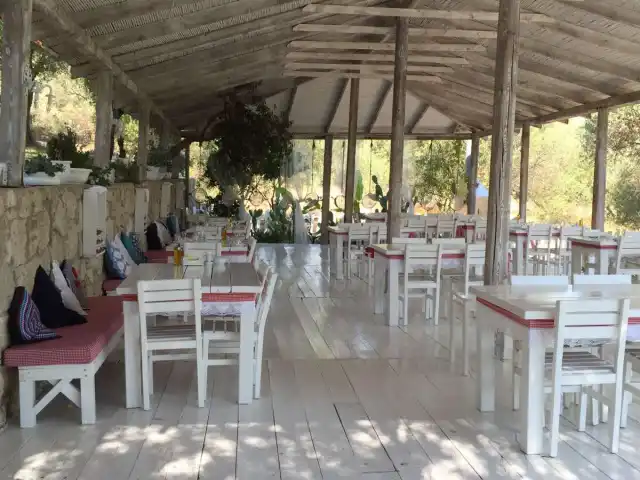 Zeytinaltı Restoran ve Kahvaltı Evi'nin yemek ve ambiyans fotoğrafları 4