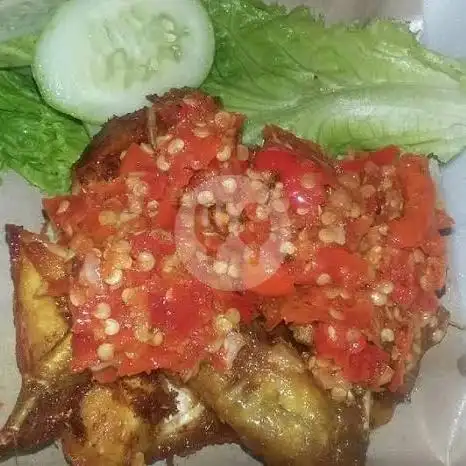 Gambar Makanan Ayam Kribo Jrv 6