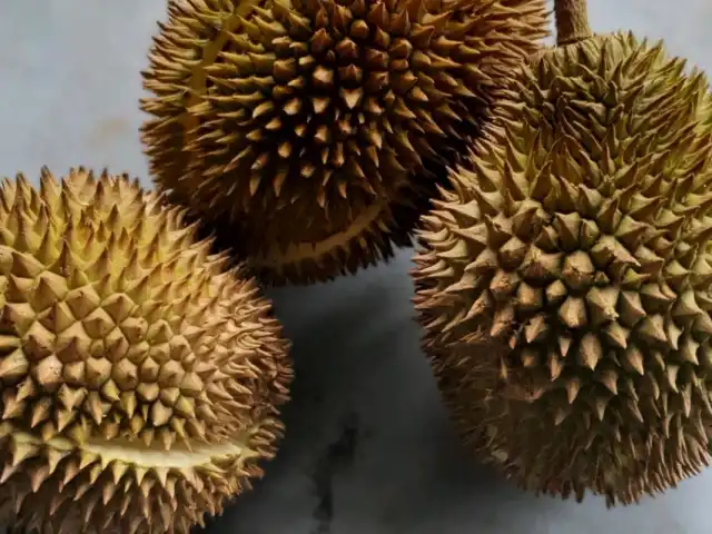 Durian Gemuk Mantin Food Photo 1
