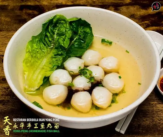 Tian Xiang Yong Peng Fish Ball Food Photo 1