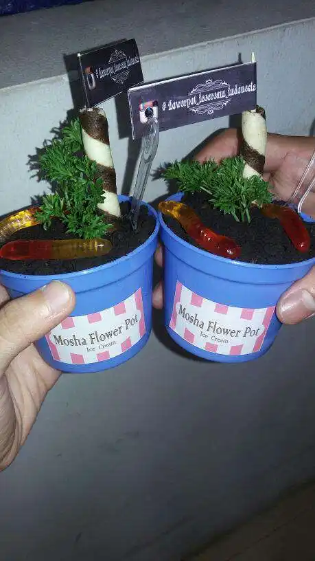 Gambar Makanan Flowerpot Ice Cream 17