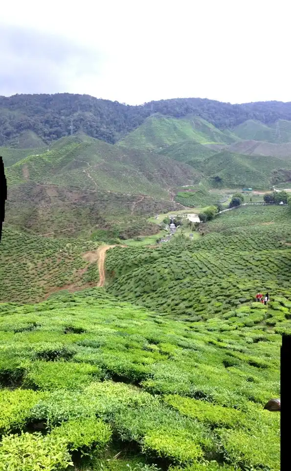 Bharat Tea Plantation Food Photo 4