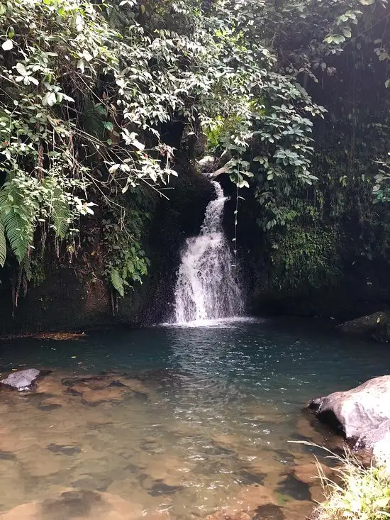 Gambar Makanan Warung Monkey Forest 13