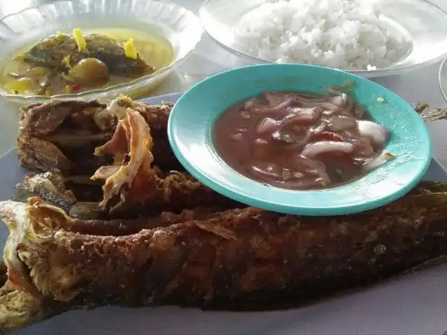 Pokok Sawa Ikan Keli Food Photo 3