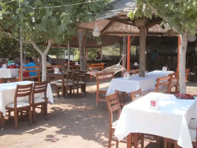 İkiz Restaurant'nin yemek ve ambiyans fotoğrafları 4