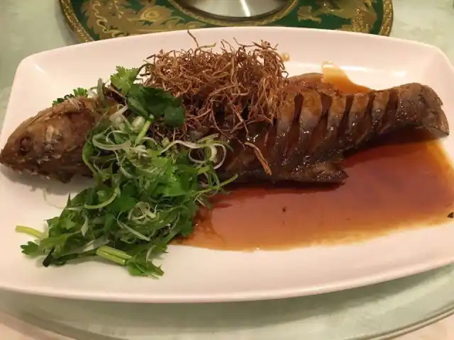 Xin Cuisine - Concorde Hotel Food Photo 17