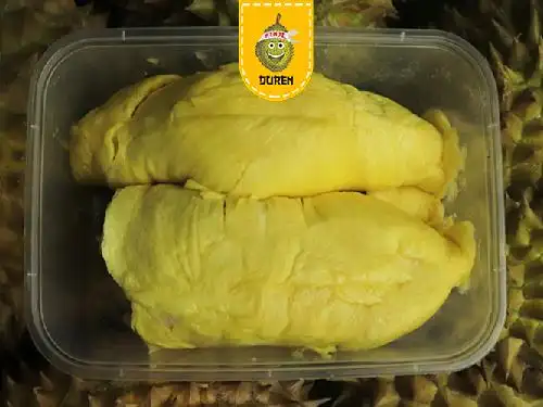 Duren Kenji, Jenderal Sudirman