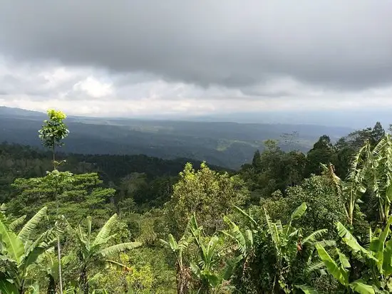 Gambar Makanan The View Munduk Restaurant 16