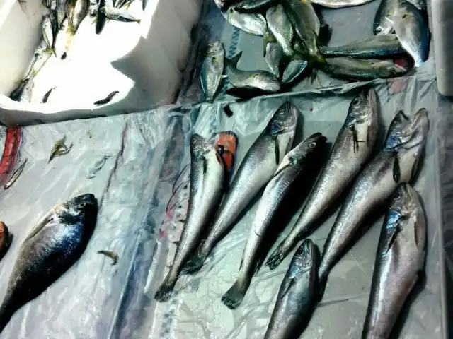 Balıkçı Ogün'nin yemek ve ambiyans fotoğrafları 20