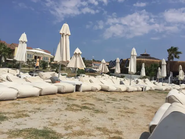 Zio Beach'nin yemek ve ambiyans fotoğrafları 13