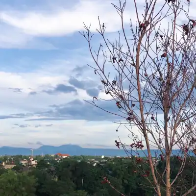 Tealogi Sky View