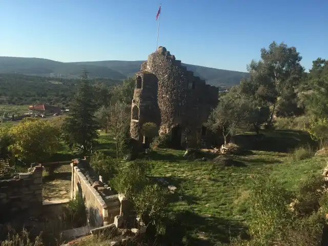 Anatolia Antikköy Sanat Cafe Bistro'nin yemek ve ambiyans fotoğrafları 9