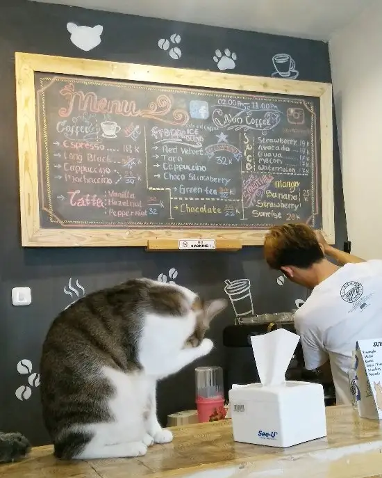 Gambar Makanan Cats and Coffee 14