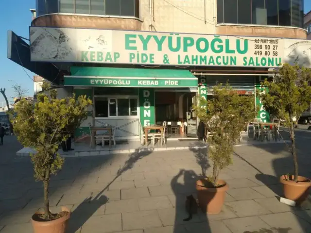 Eyupoglu Kebap ve Lahmacun Salonu'nin yemek ve ambiyans fotoğrafları 10