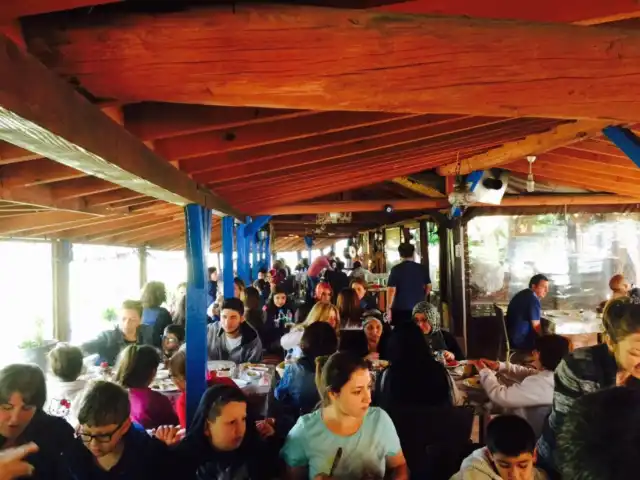 Yorgo Restoran&Wine house'nin yemek ve ambiyans fotoğrafları 4