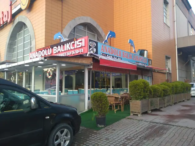 Anadolu Balık Restaurant'nin yemek ve ambiyans fotoğrafları 8