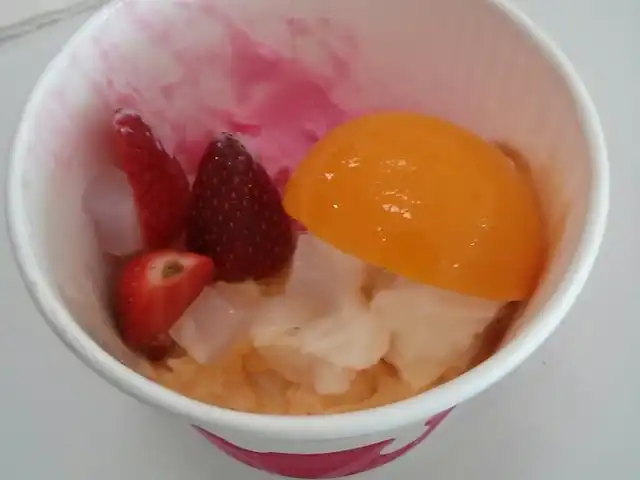 Snogurt Food Photo 8