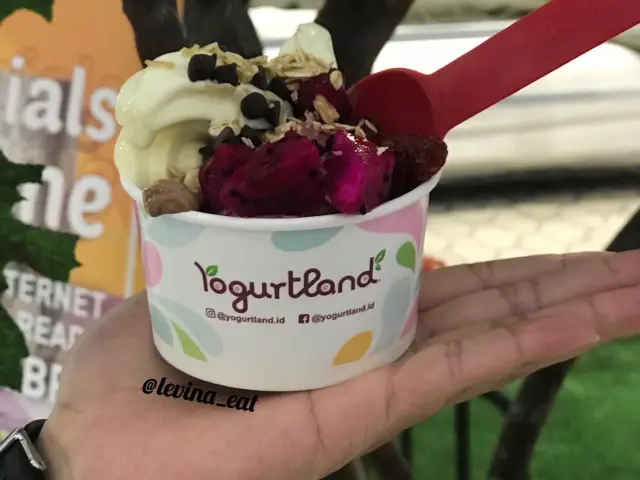 Gambar Makanan Yogurtland 7