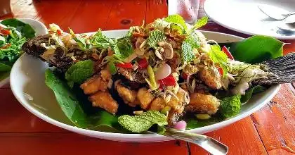 Thai Lotus Restaurant Food Photo 1
