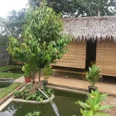 saung mak enok