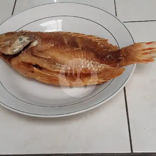 Gambar Makanan Ikan Bakar Nasi Uduk Ema Bedah, Serpong 6