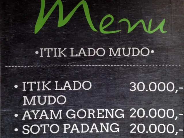 Gambar Makanan Itik Lado Mudo 1