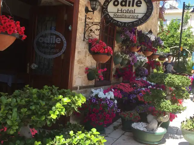 Odile Boutique Hotel Cafe'nin yemek ve ambiyans fotoğrafları 20