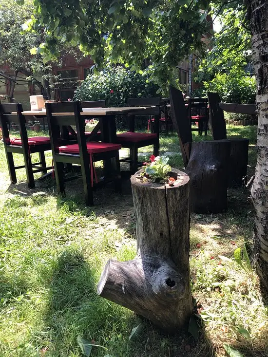 Defne Restaurant'nin yemek ve ambiyans fotoğrafları 8