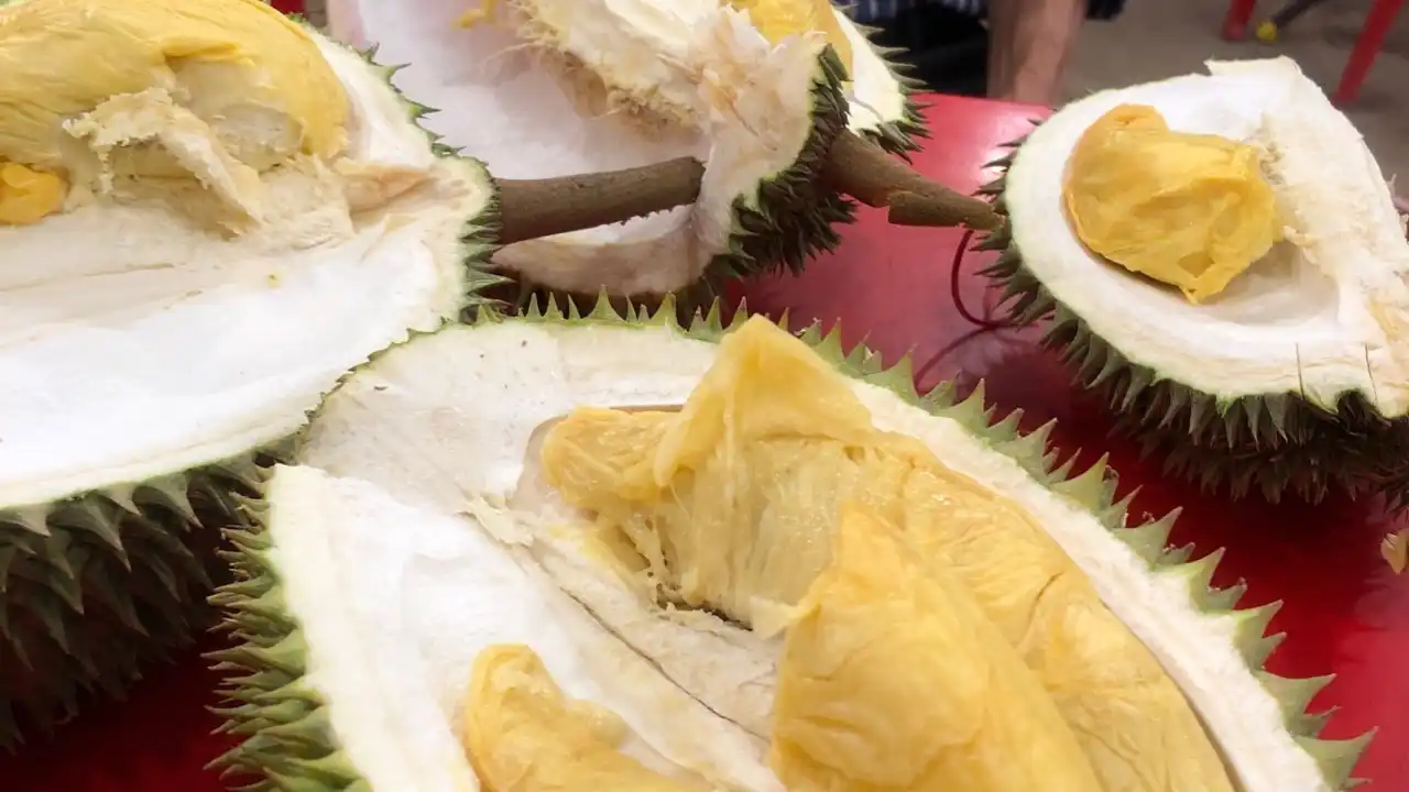 durian tembaga