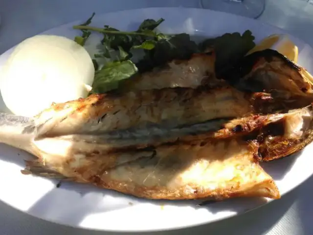 Barla Balık'nin yemek ve ambiyans fotoğrafları 6