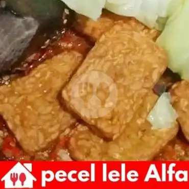 Gambar Makanan Pecel Lele Alfa, Daendeles 5