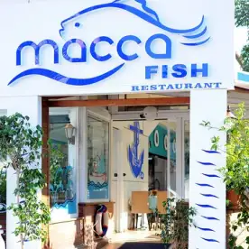 Macca Fish
