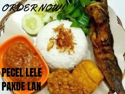 Pecel Lele Pakde Lan