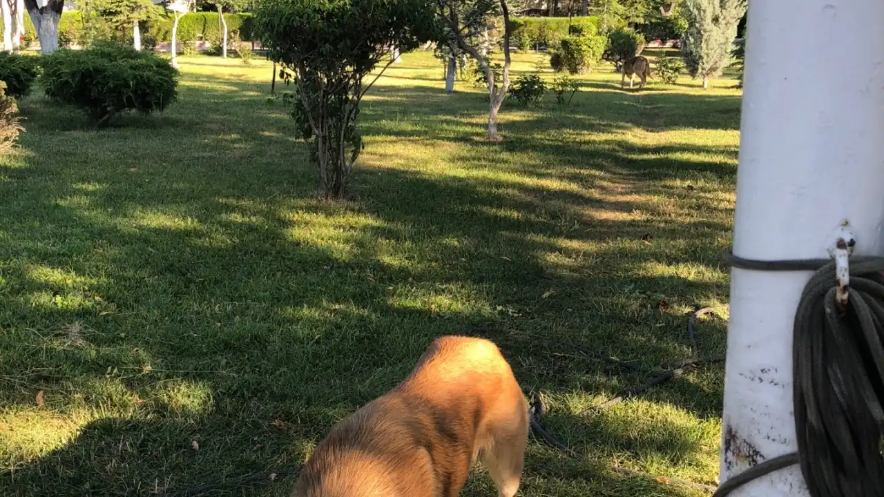 Devlet tiyatroları bahçesi